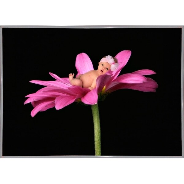 Bay in a Big Daisy-TANHOV93037 Print 5.25"x7.25" by Tanya Hovey