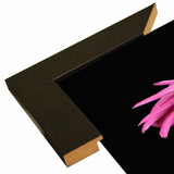 Bay in a Big Daisy-TANHOV93037 Print 5.25"x7.25" by Tanya Hovey