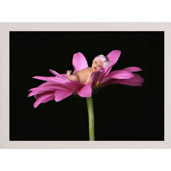 Bay in a Big Daisy-TANHOV93037 Print 5.25"x7.25" by Tanya Hovey