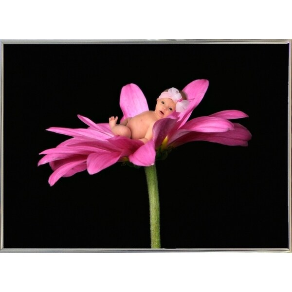 Bay in a Big Daisy-TANHOV93037 Print 5.25"x7.25" by Tanya Hovey