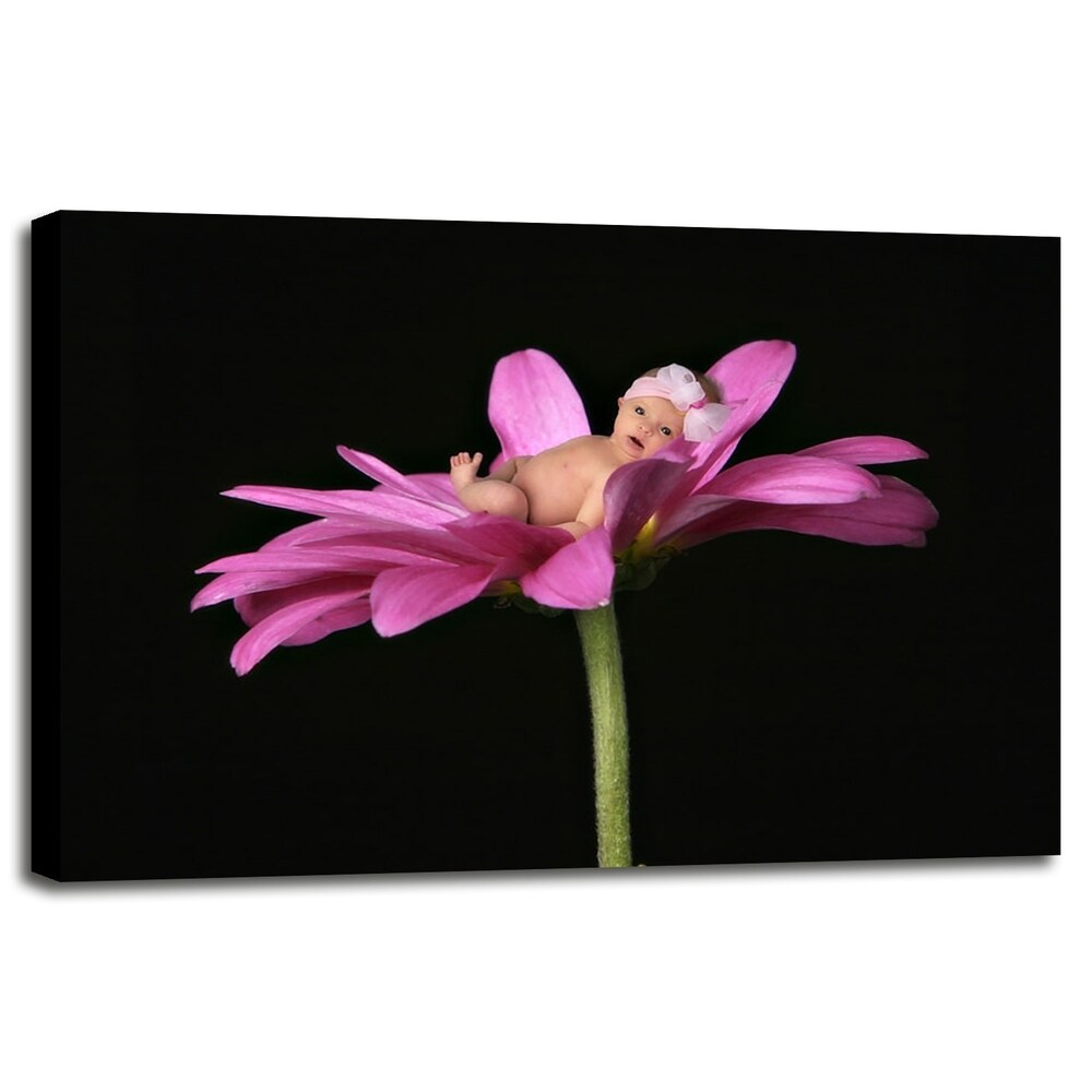 Bay in a Big Daisy-TANHOV93037 Print 5.25"x7.25" by Tanya Hovey