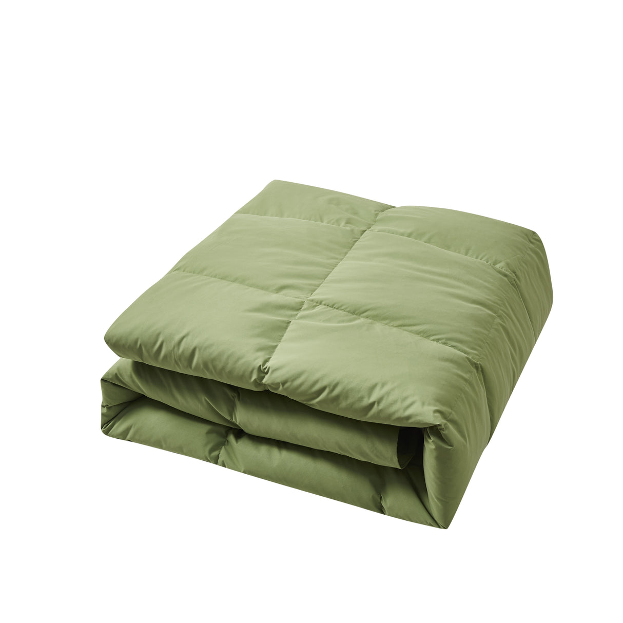 Beautyrest Color Feather And Down Comforter