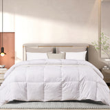 Beautyrest Color Feather And Down Comforter