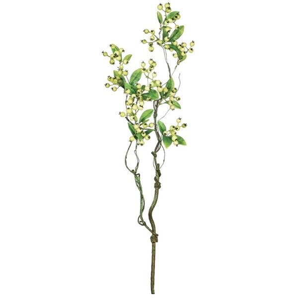 Sullivans Berry With Leaves Spray
