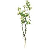 Sullivans Berry With Leaves Spray