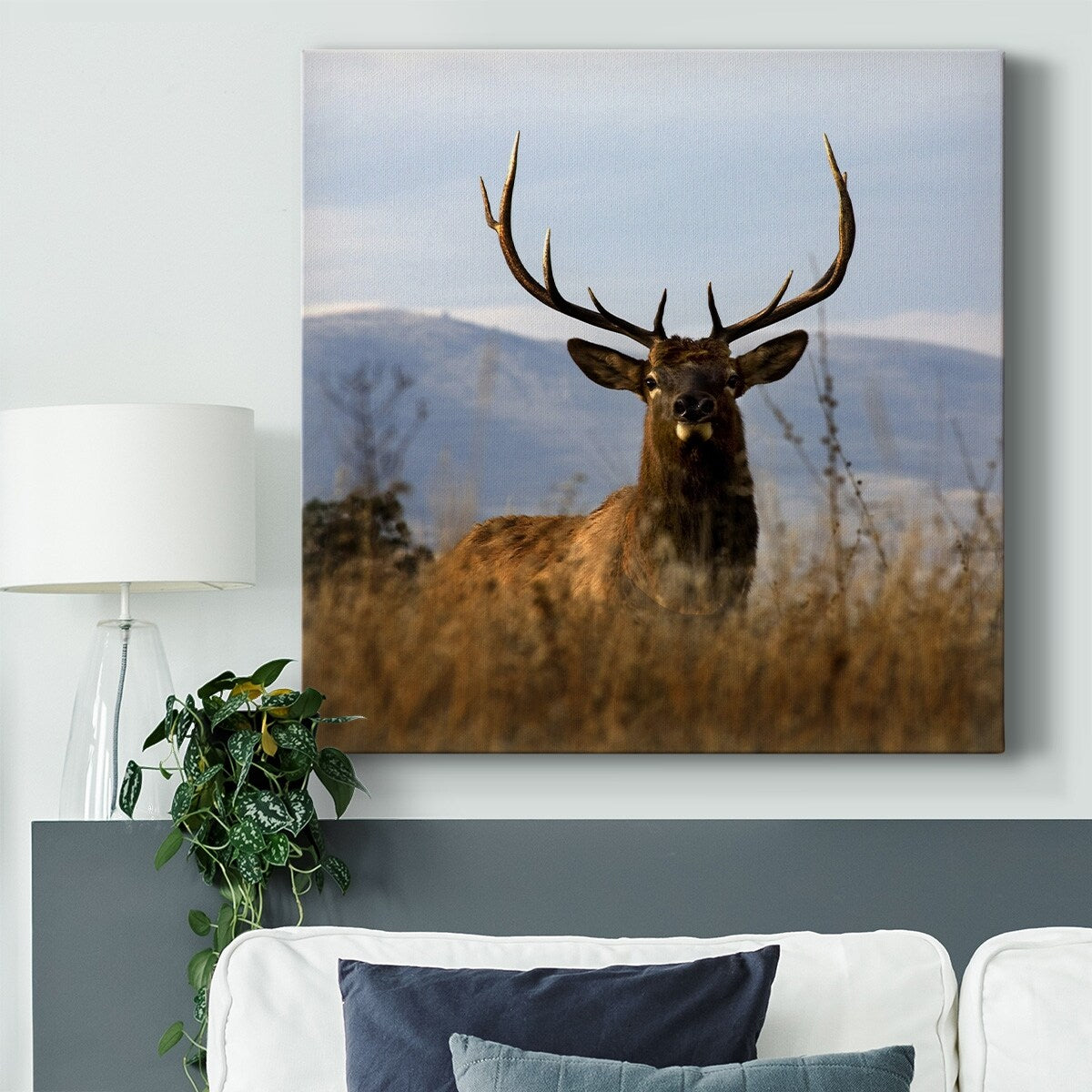 Big Elk Charlo-Gallery Wrapped Canvas