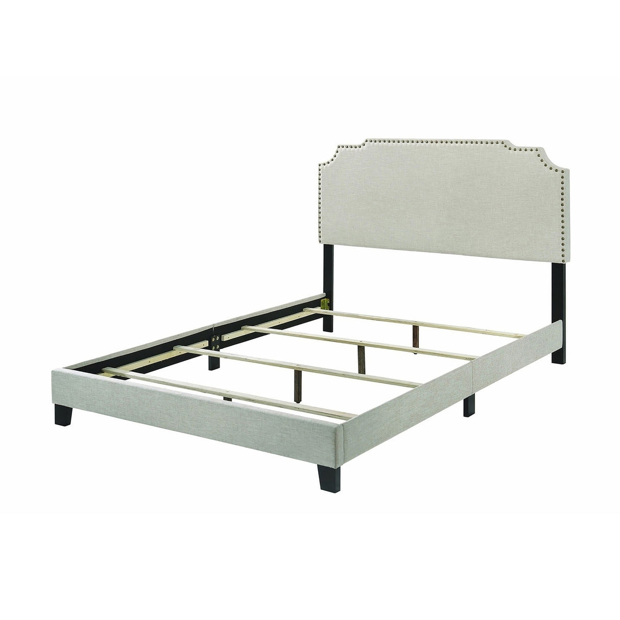 Biruinta Upholstered Panel Bed with Nailhead Trim