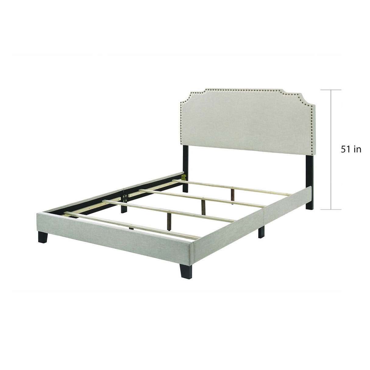 Biruinta Upholstered Panel Bed with Nailhead Trim