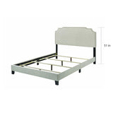 Biruinta Upholstered Panel Bed with Nailhead Trim