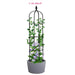Black 6.2 FT Garden Obelisk Trellis Tall Tower Trellis Stand