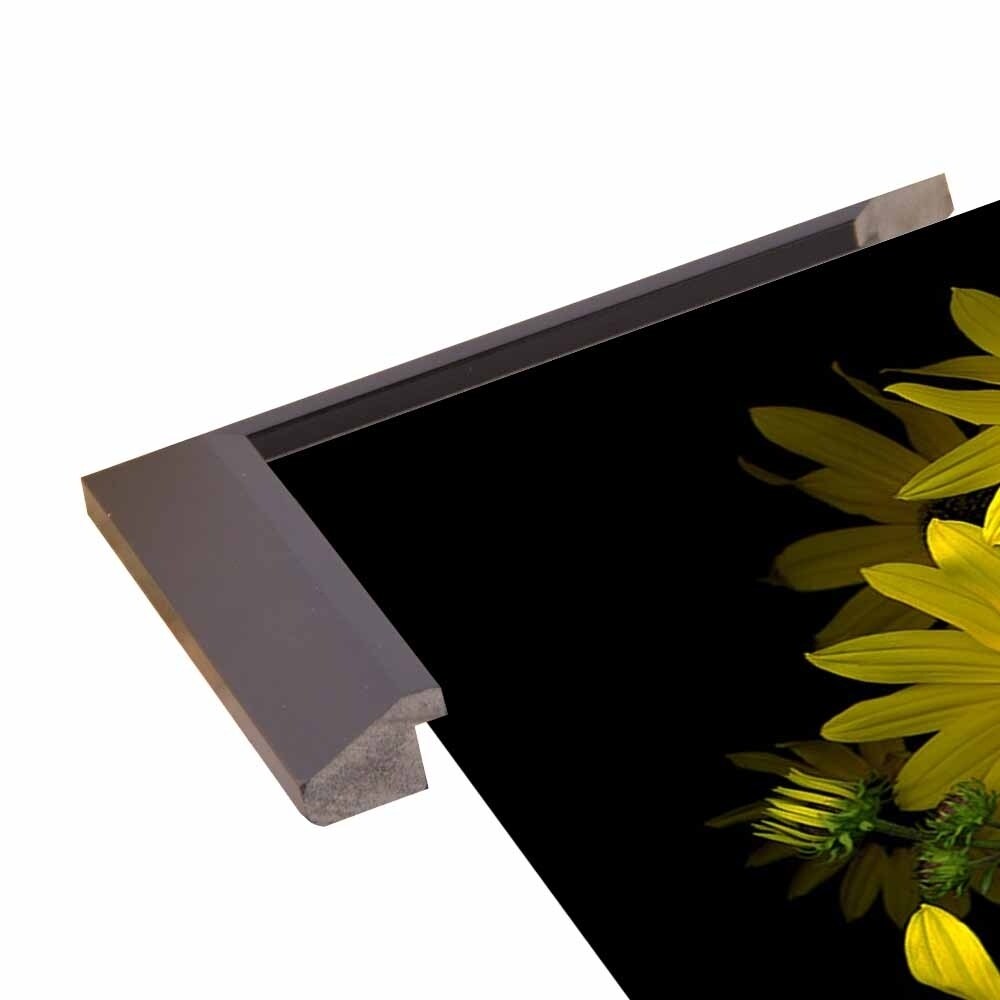 Black Eye Susan-SUSBAR85688 Print 29.25"x22.75" by Susan S. Barmon