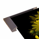 Black Eye Susan-SUSBAR85688 Print 29.25"x22.75" by Susan S. Barmon