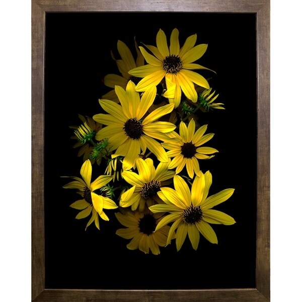 Black Eye Susan-SUSBAR85688 Print 29.25"x22.75" by Susan S. Barmon
