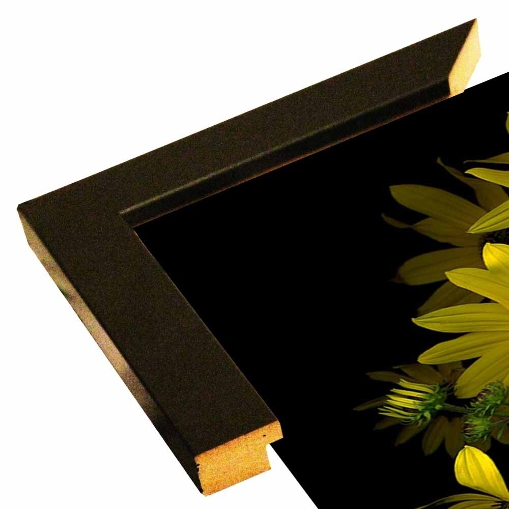 Black Eye Susan-SUSBAR85688 Print 29.25"x22.75" by Susan S. Barmon
