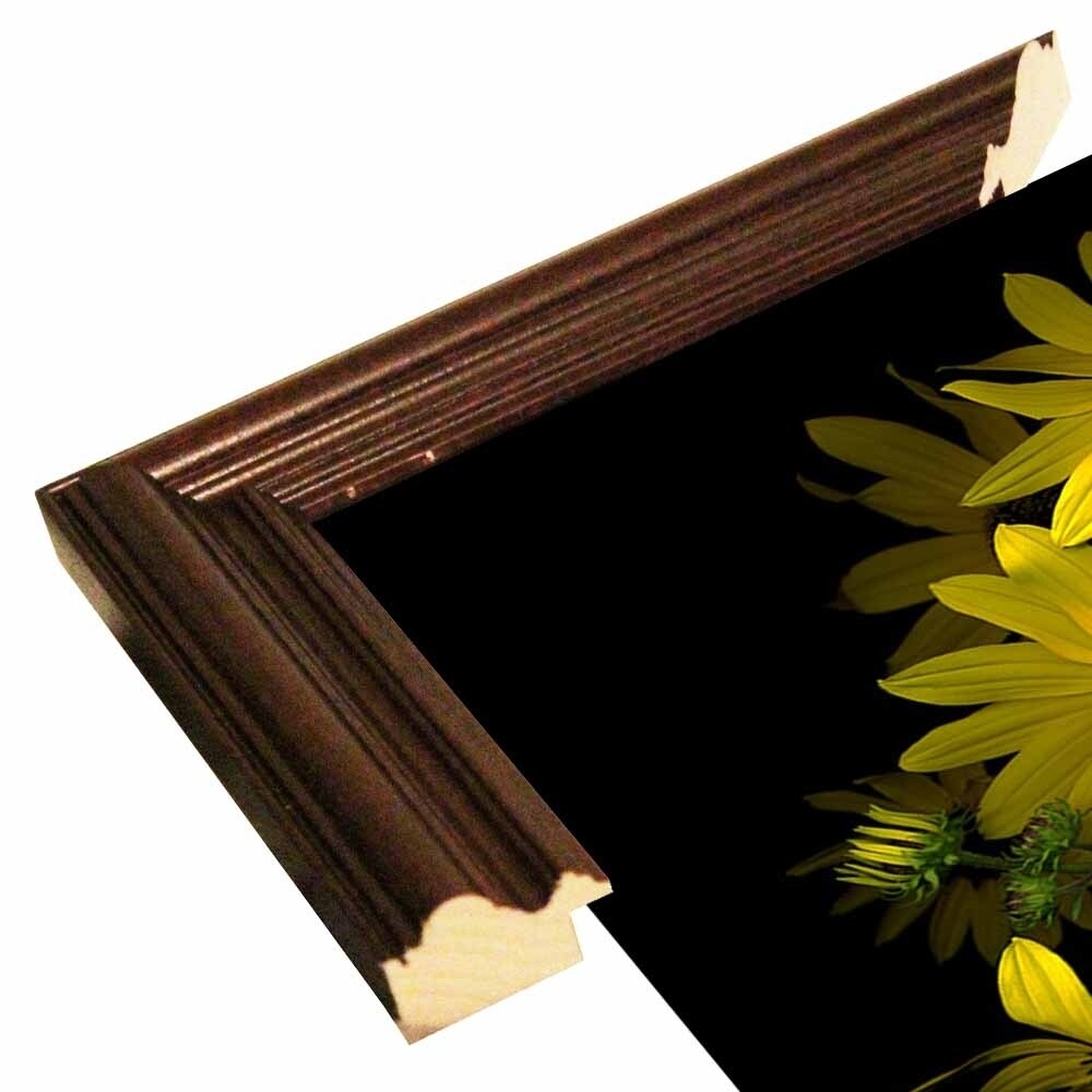 Black Eye Susan-SUSBAR85688 Print 29.25"x22.75" by Susan S. Barmon