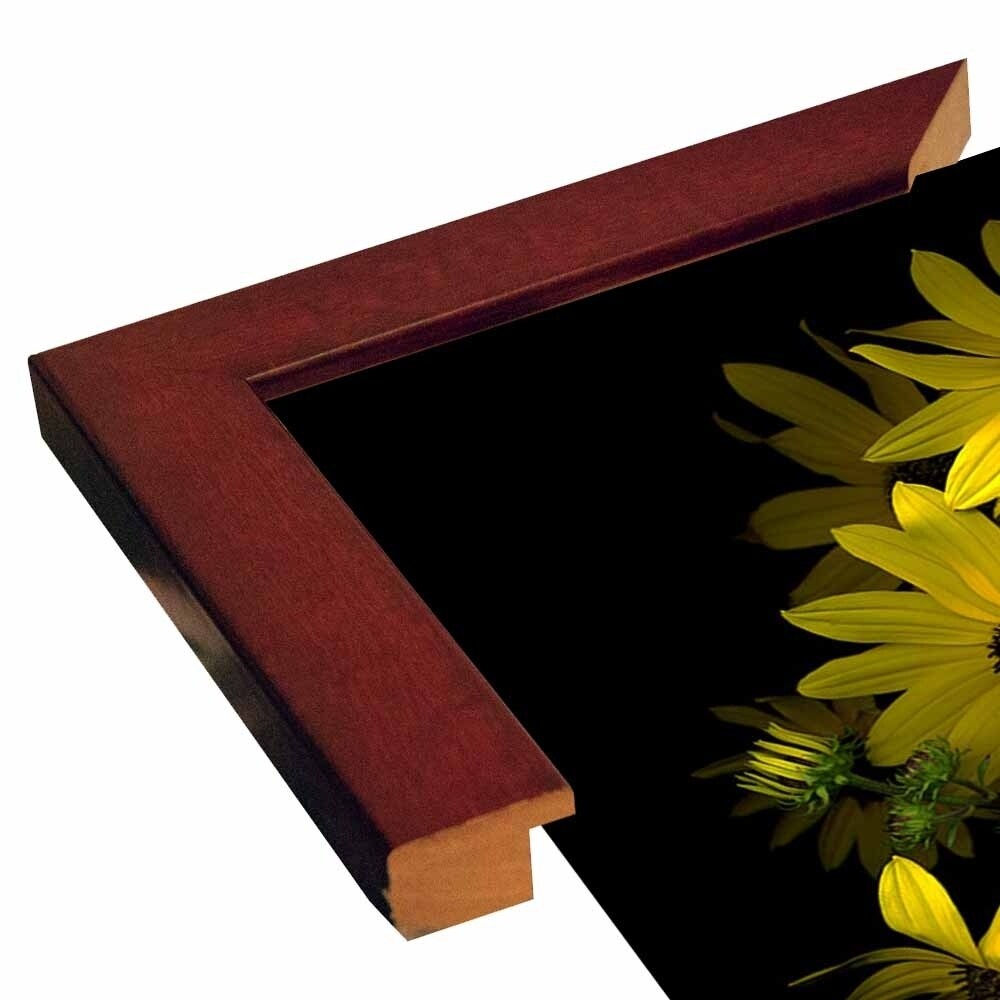 Black Eye Susan-SUSBAR85688 Print 29.25"x22.75" by Susan S. Barmon