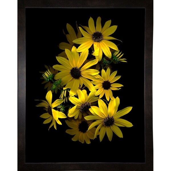 Black Eye Susan-SUSBAR85688 Print 29.25"x22.75" by Susan S. Barmon