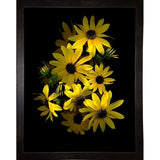 Black Eye Susan-SUSBAR85688 Print 29.25"x22.75" by Susan S. Barmon