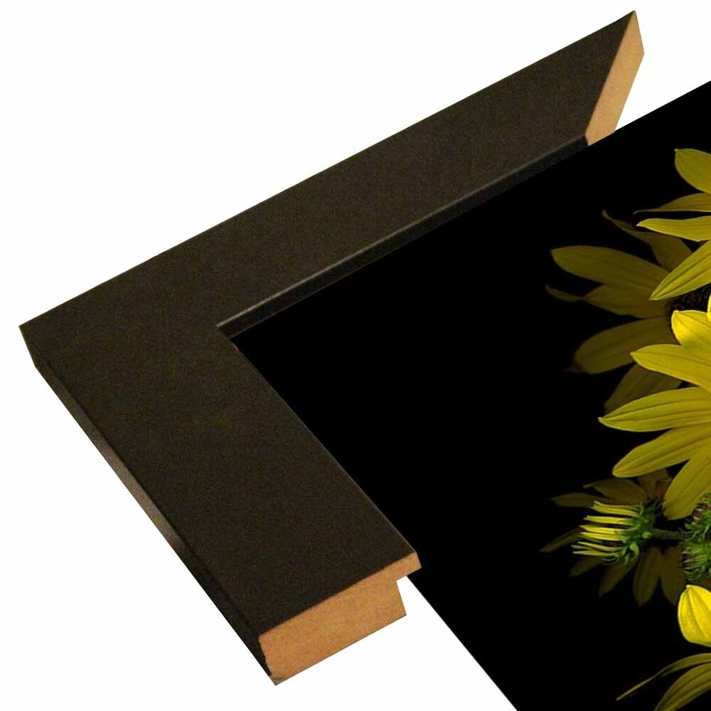 Black Eye Susan-SUSBAR85688 Print 29.25"x22.75" by Susan S. Barmon