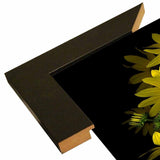 Black Eye Susan-SUSBAR85688 Print 29.25"x22.75" by Susan S. Barmon
