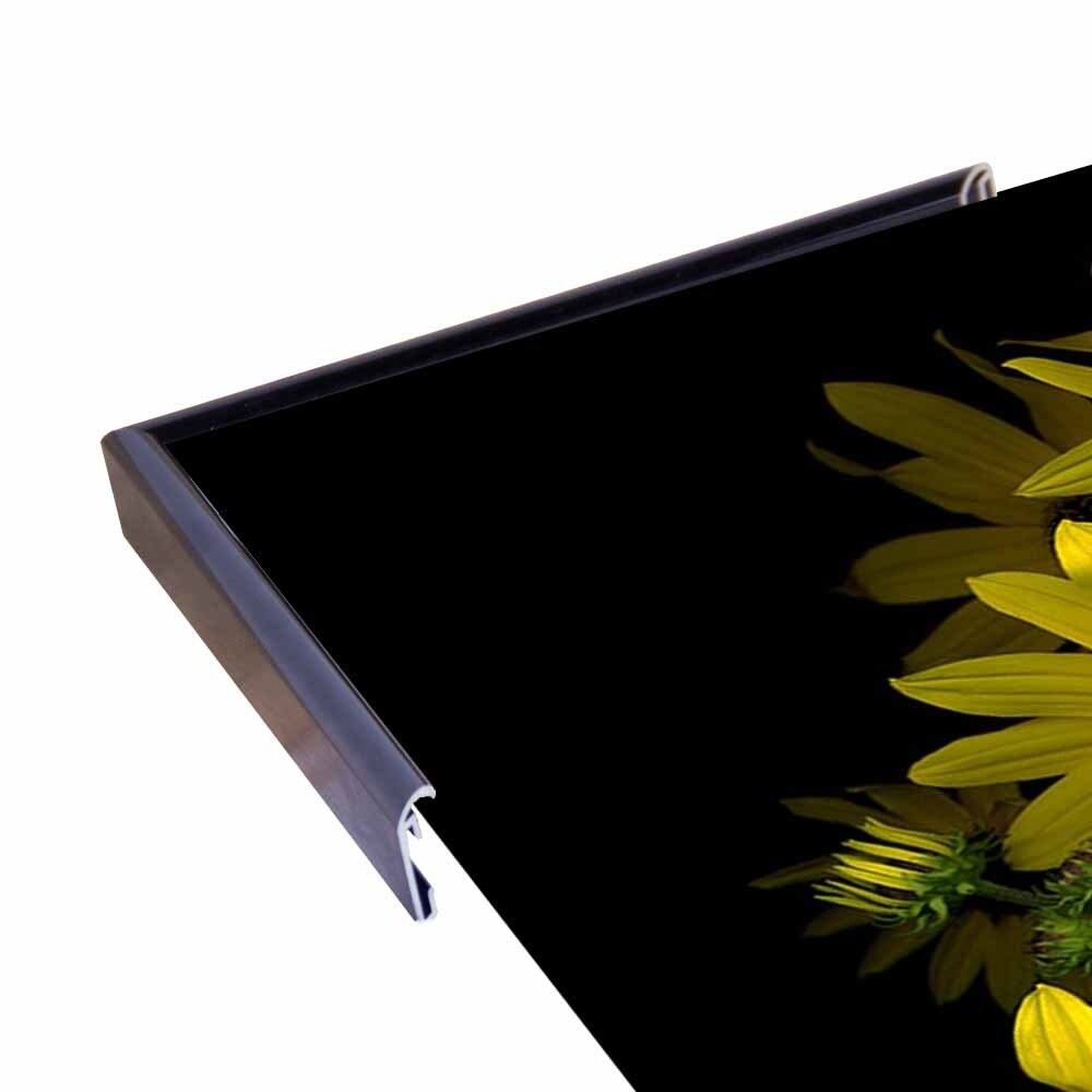 Black Eye Susan-SUSBAR85688 Print 29.25"x22.75" by Susan S. Barmon