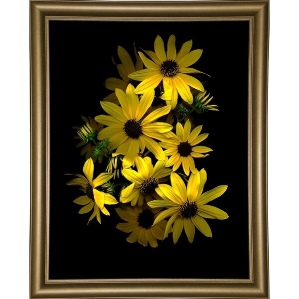 Black Eye Susan-SUSBAR85688 Print 29.25"x22.75" by Susan S. Barmon