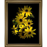 Black Eye Susan-SUSBAR85688 Print 29.25"x22.75" by Susan S. Barmon