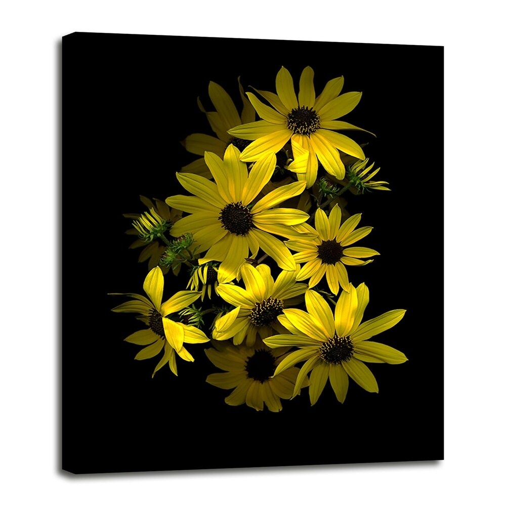 Black Eye Susan-SUSBAR85688 Print 29.25"x22.75" by Susan S. Barmon