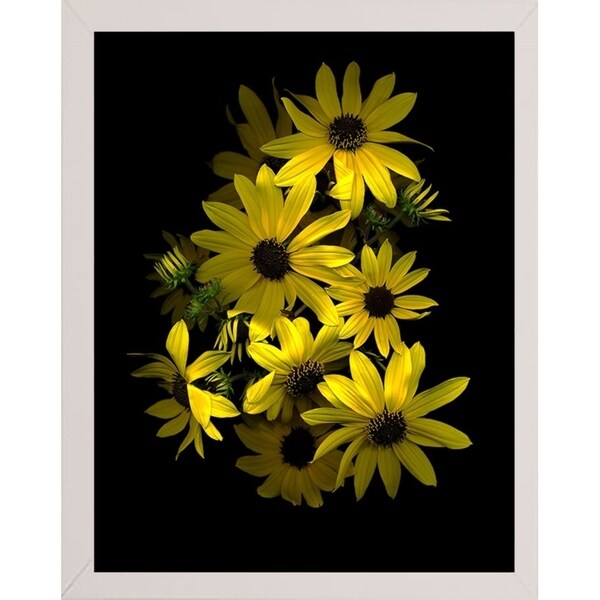 Black Eye Susan-SUSBAR85688 Print 29.25"x22.75" by Susan S. Barmon
