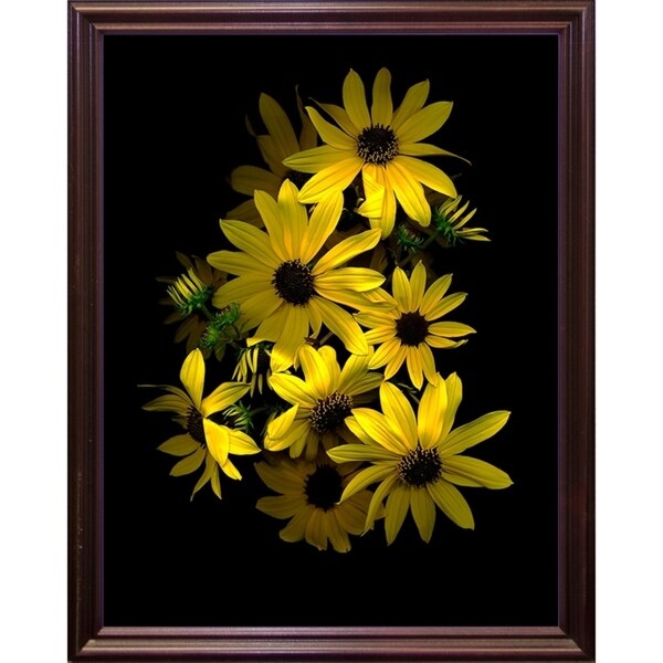 Black Eye Susan-SUSBAR85688 Print 29.25"x22.75" by Susan S. Barmon