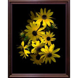 Black Eye Susan-SUSBAR85688 Print 29.25"x22.75" by Susan S. Barmon