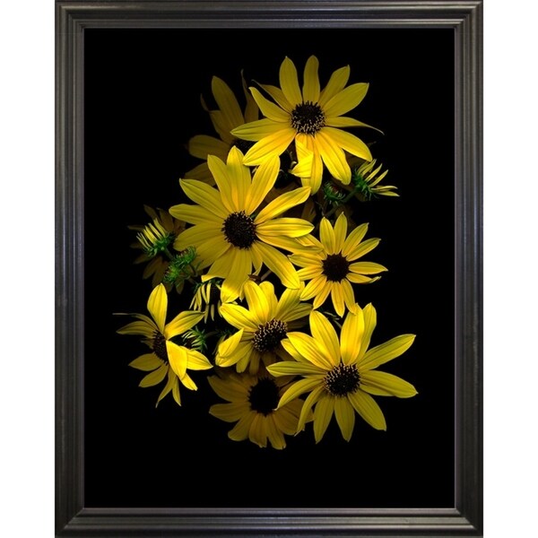 Black Eye Susan-SUSBAR85688 Print 29.25"x22.75" by Susan S. Barmon