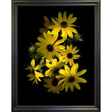 Black Eye Susan-SUSBAR85688 Print 29.25"x22.75" by Susan S. Barmon