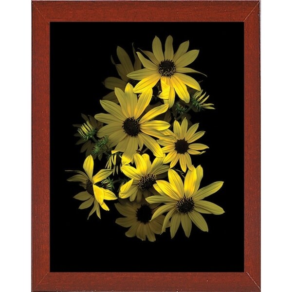 Black Eye Susan-SUSBAR85688 Print 29.25"x22.75" by Susan S. Barmon