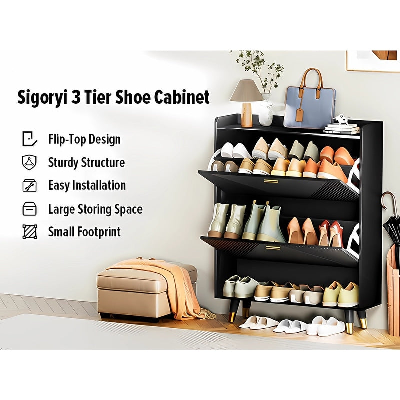 Black Shoe Storage Cabinet with 2flip Drawers, Entrance Shoe Rack Cabinet