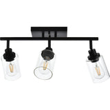 Black Track Lighting Ceiling with Clear Glass