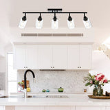 Black Track Lighting Ceiling with Clear Glass