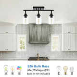 Black Track Lighting Ceiling with Clear Glass