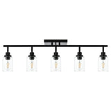 Black Track Lighting Ceiling with Clear Glass
