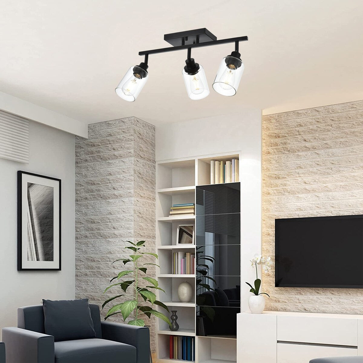 Black Track Lighting Ceiling with Clear Glass