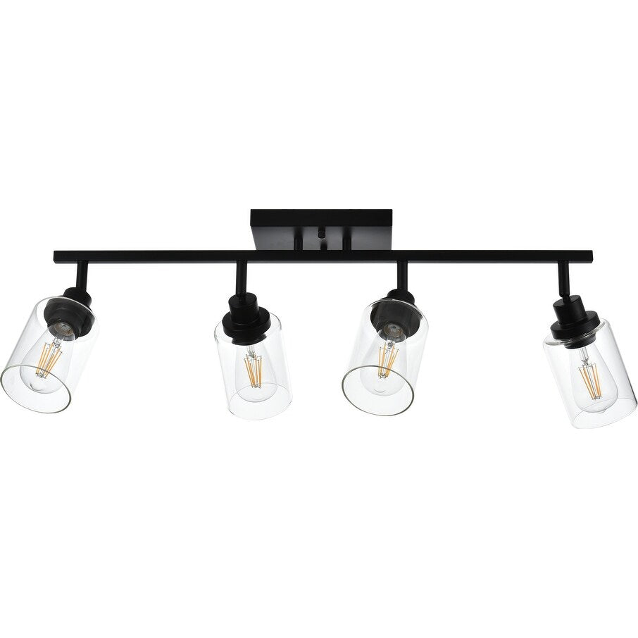 Black Track Lighting Ceiling with Clear Glass