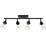 Black Track Lighting Ceiling with Clear Glass