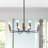 Black and Gold 8-Light Candle Style Candelabra Chandelier