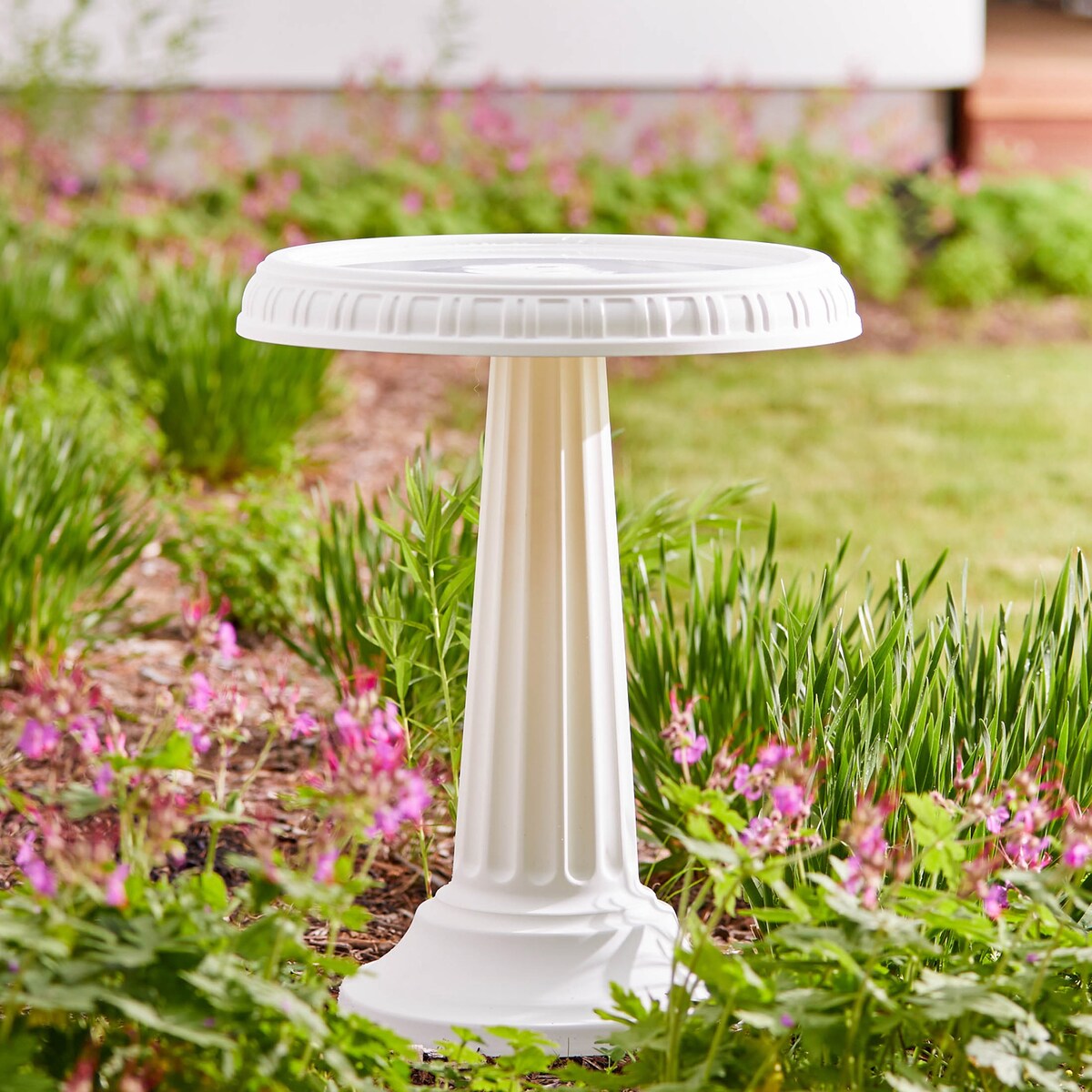 Bloem Grecian All Season Pedestal Bird Bath 24" x 19" Casper White - 24 in x 19 in.