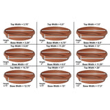 Bloem Terra Plant Saucer Tray for Planters 3-6" Living Green - 4.75