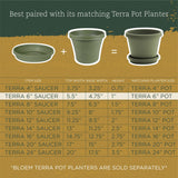 Bloem Terra Plant Saucer Tray for Planters 3-6" Living Green - 4.75