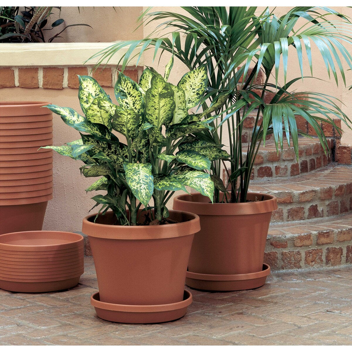 Bloem Terra Plant Saucer Tray for Planters 3-6" Living Green - 4.75