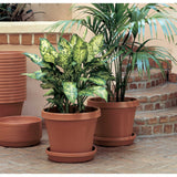 Bloem Terra Plant Saucer Tray for Planters 3-6" Living Green - 4.75