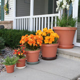 Bloem Terra Pot 4-inch Terra Cotta Planter