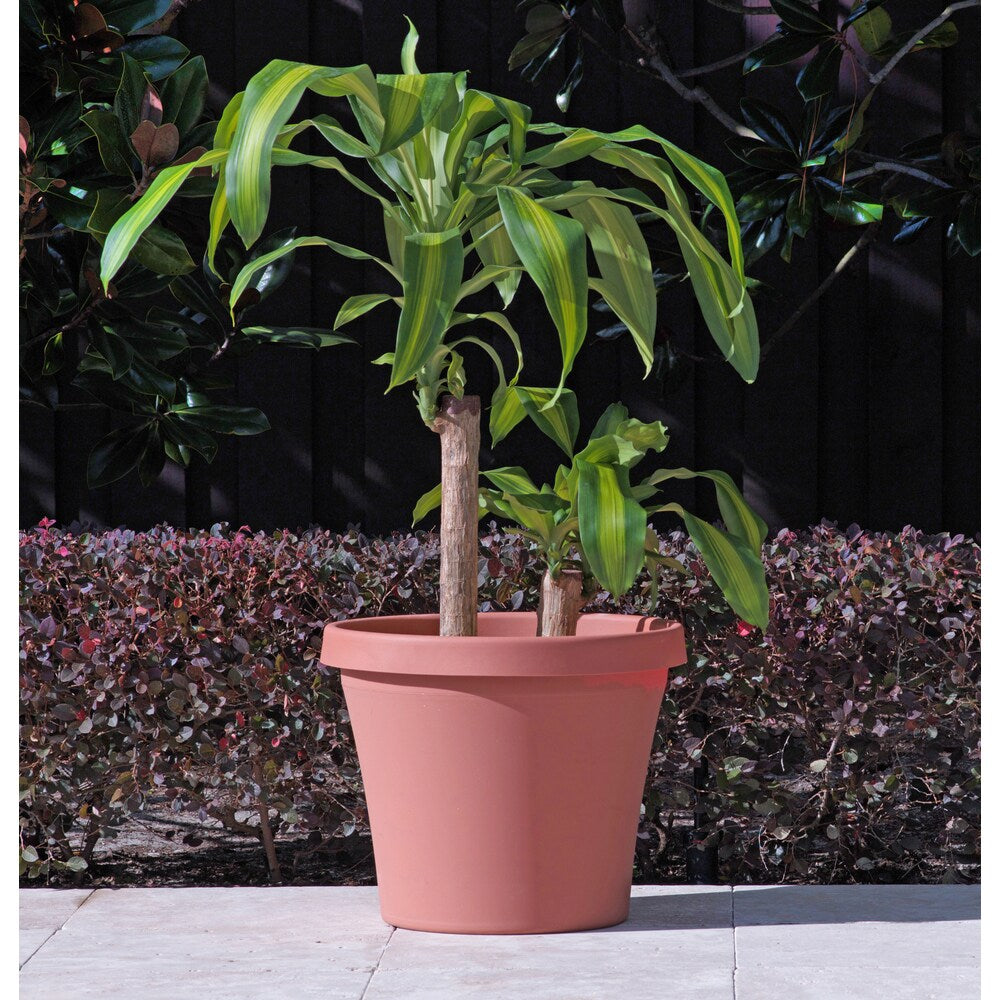 Bloem Terra Pot 4-inch Terra Cotta Planter